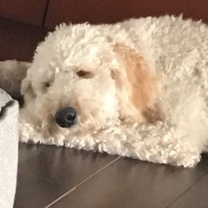 Meet your Posher, Stephanie contreras